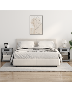 Armadio da Notte 2 pcs Grigio Sonoma 41 x 31 x 51 cm