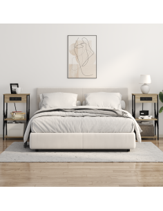 Armadio da Notte 2 pcs Rovere Sonoma 41 x 31 x 76 cm