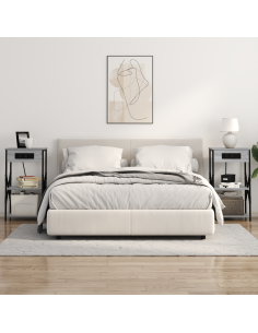 Armadio da Notte 2 pcs Grigio Sonoma 41 x 31 x 76 cm