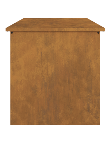 Scatola di Stoccaggio Esterno Ruggine 80 x 50,5 x 50 cm Acciaio