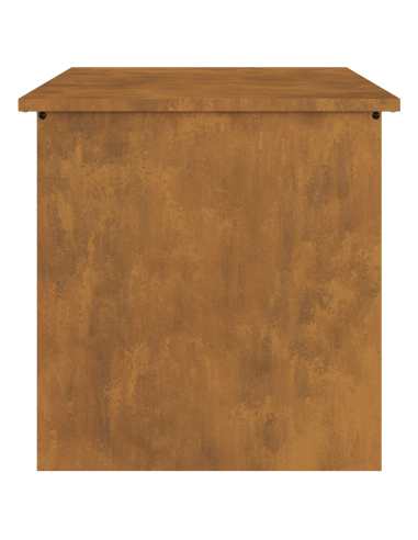 Scatola di Stoccaggio Esterno Ruggine 55 x 50,5 x 50 cm Acciaio