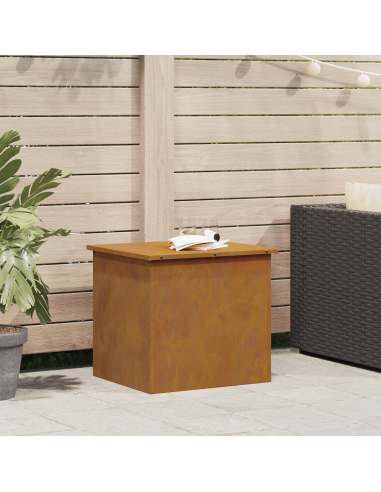 Scatola di Stoccaggio Esterno Ruggine 55 x 50,5 x 50 cm Acciaio