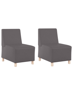 Unità di Divano Modulare Senza Braccioli 2 pcs Grigio 2