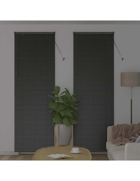 Tenda per Finestra con tende Altro Nero 80 x 220 cm Alluminio