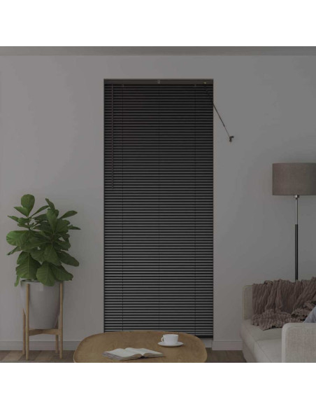 Tenda per Finestra con tende Altro Nero 90 x 220 cm Alluminio
