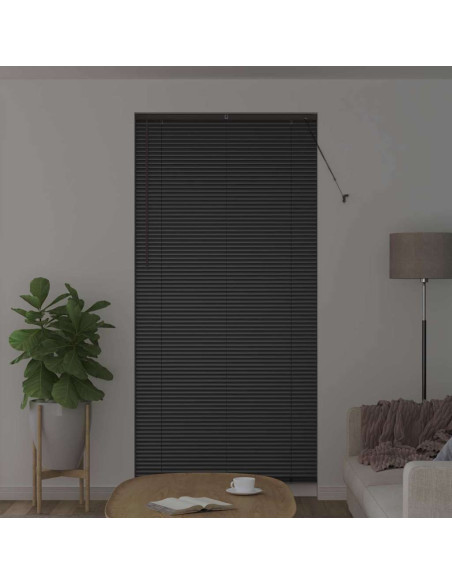 Tenda per Finestra con tende Altro Nero 100 x 220 cm Alluminio