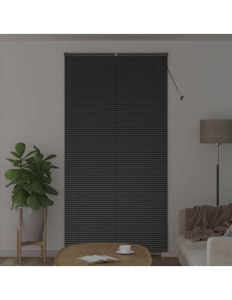 Tenda per Finestra con tende Altro Nero 120 x 220 cm Alluminio