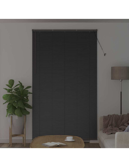 Tenda per Finestra con tende Altro Nero 135 x 220 cm Alluminio