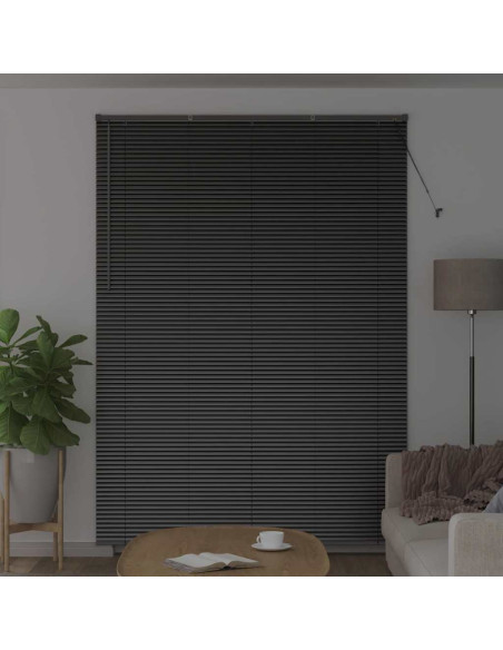 Tenda per Finestra con tende Altro Nero 155 x 220 cm Alluminio