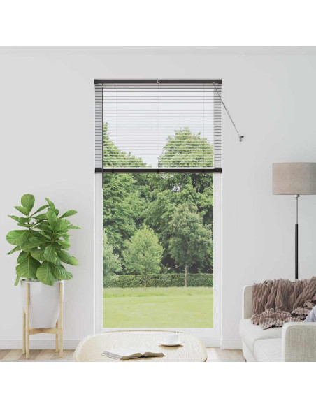 Tendaggi a veneziana Nero 220 x 105 cm Alluminio
