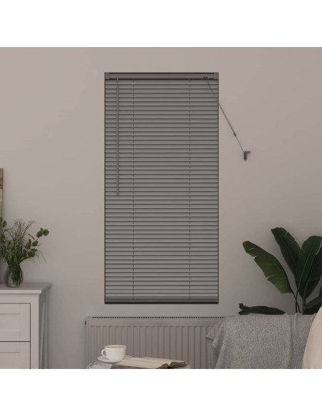 Tenda per Finestra con tende Argento 60 x 130 cm Alluminio