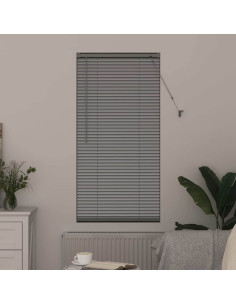 Tendaggi a veneziana Argento 175 x 60 cm Alluminio