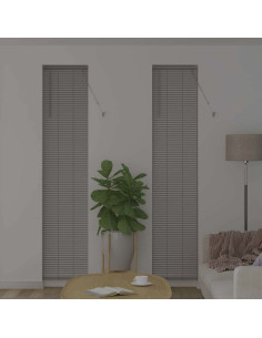 Tendaggi a veneziana Argento 220 x 40 cm Alluminio