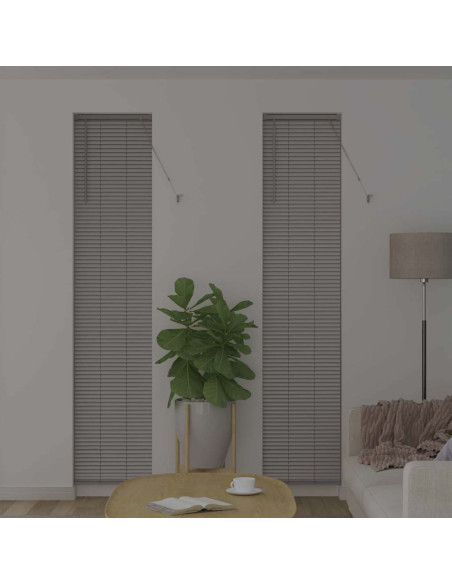 Tendaggi a veneziana Argento 220 x 45 cm Alluminio