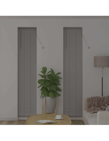 Tendaggi a veneziana Argento 220 x 50 cm Alluminio