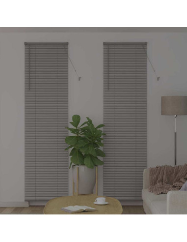 Tendaggi a veneziana Argento 220 x 55 cm Alluminio