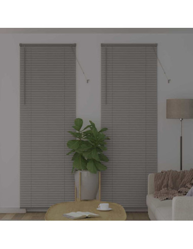 Tendaggi a veneziana Argento 220 x 70 cm Alluminio
