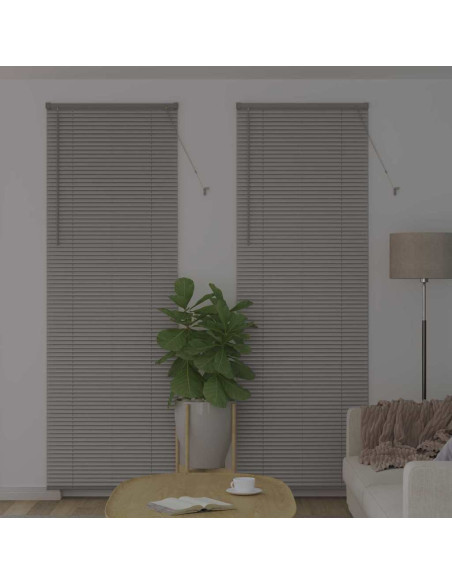 Tendaggi a veneziana Argento 220 x 75 cm Alluminio