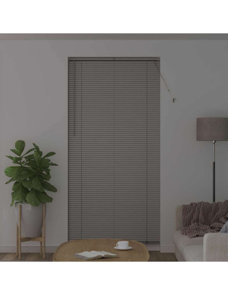 Tendaggi a veneziana Argento 220 x 105 cm Alluminio