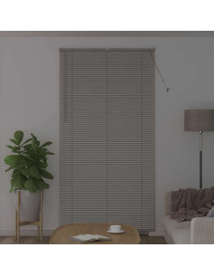 Tendaggi a veneziana Argento 220 x 120 cm Alluminio