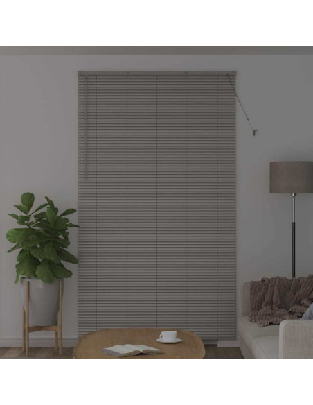 Tenda per Finestra con tende Altro Argento 135 x 220 cm Alluminio