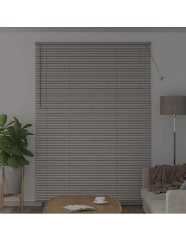 Tendaggi a veneziana Argento 220 x 155 cm Alluminio