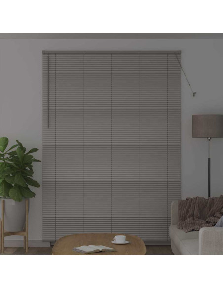 Tendaggi a veneziana Argento 220 x 155 cm Alluminio