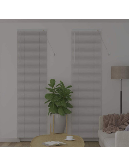 Tendaggi a veneziana Bianco 220 x 60 cm Alluminio