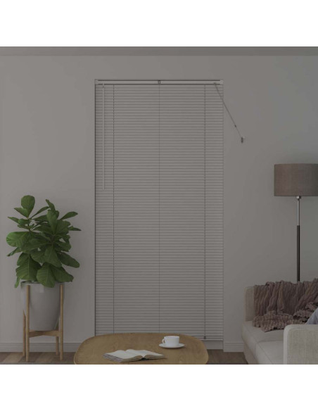 Tenda per Finestra con tende Altro Bianco 100 x 220 cm Alluminio