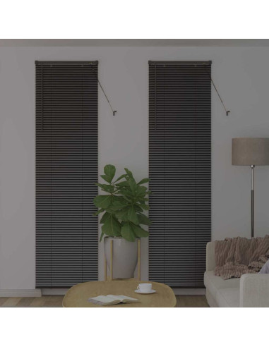 Tendaggi a veneziana Nero 220 x 60 cm Alluminio