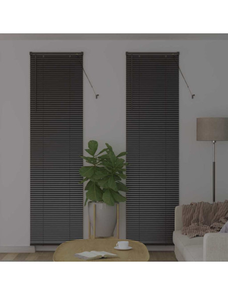 Tenda per Finestra con tende Altro Nero 60 x 220 cm Alluminio