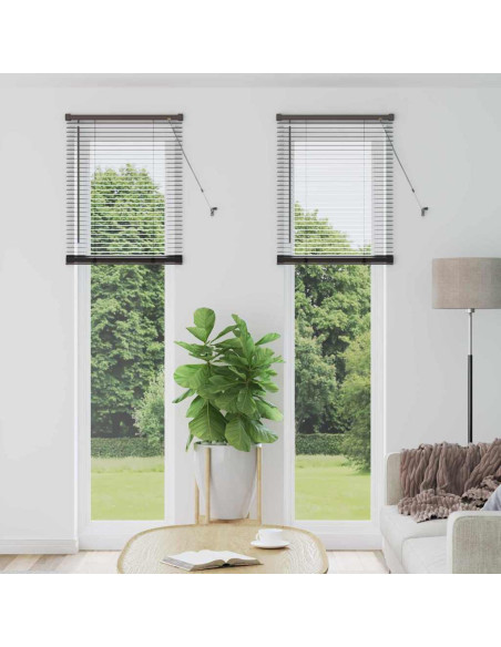 Tenda per Finestra con tende Altro Nero 60 x 220 cm Alluminio
