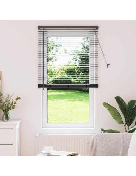 Tendaggi a veneziana Nero 175 x 80 cm Alluminio