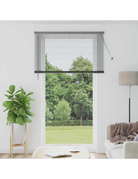 Tenda per Finestra con tende Altro Grigio scuro 80 x 130 cm Alluminio