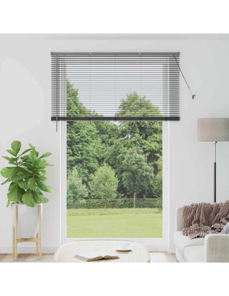 Tenda per Finestra Grigio scuro 150 x 220 cm Alluminio