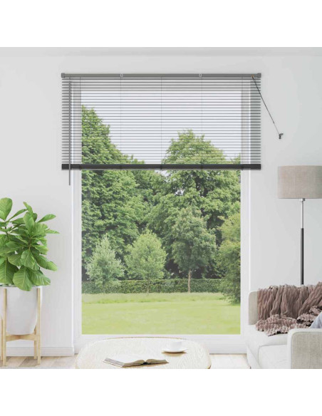 Tenda per Finestra Grigio scuro 160 x 220 cm Alluminio