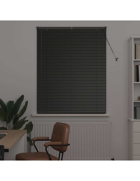 Tenda per Finestra con tende Altro Nero 100 x 130 cm Alluminio