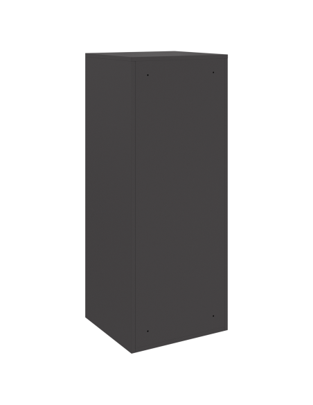 Cassetta per pacchi Nero 41 x 38 x 103 cm Acciaio
