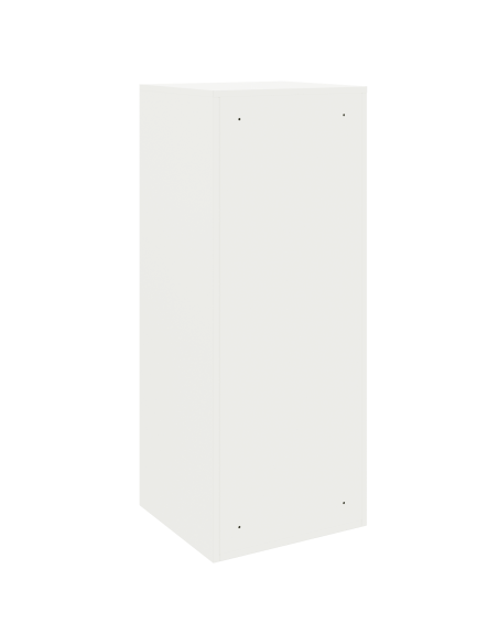 Cassetta per pacchi Bianco 41 x 38 x 103 cm Acciaio