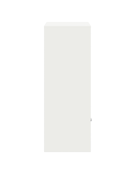 Cassetta per pacchi Bianco 41 x 38 x 103 cm Acciaio