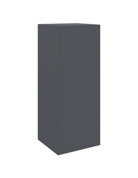 Cassetta per pacchi Antracite 41 x 38 x 103 cm Acciaio