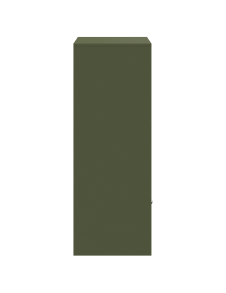 Cassetta per pacchi Oliver verde 41 x 38 x 103 cm Acciaio