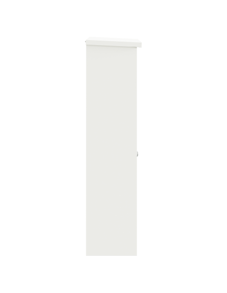 Cassetta per pacchi Bianco 44.5 x 29 x 110.5 cm Acciaio