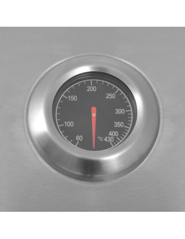 Griglia Barbecue a Gas Argento Acciaio con Tubo Metallico