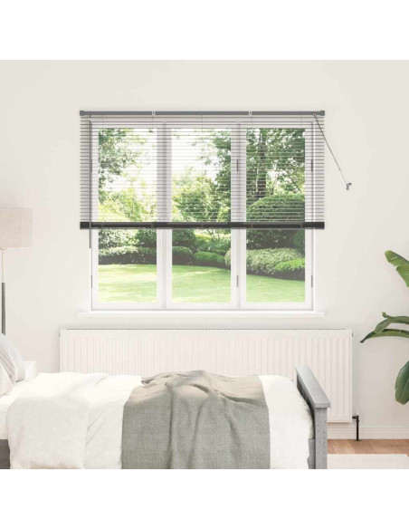 Tenda per Finestra Grigio scuro 160 x 175 cm Alluminio