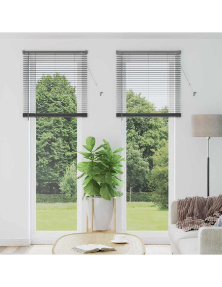 Tenda per Finestra con tende Altro Grigio scuro 80 x 220 cm Alluminio