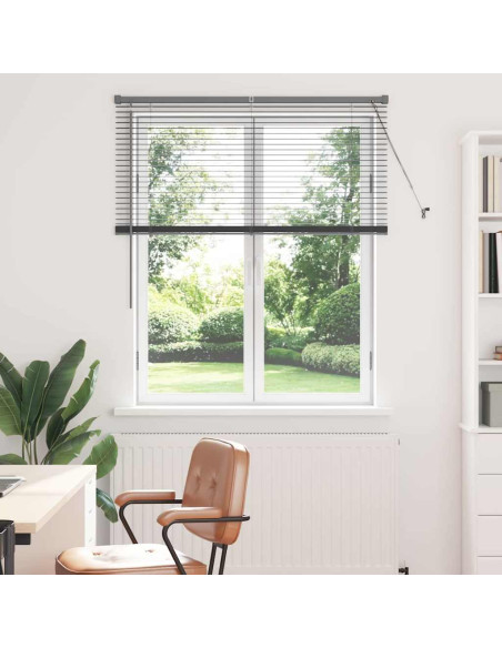 Tendaggi a veneziana Grigio scuro 130 x 115 cm Alluminio