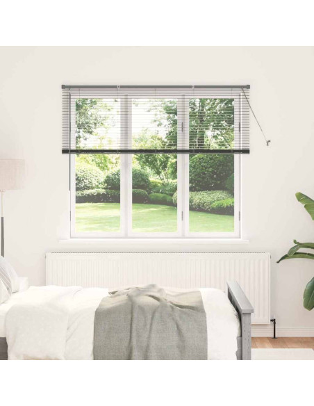 Tenda per Finestra con tende Altro Grigio scuro 80 x 130 cm Alluminio