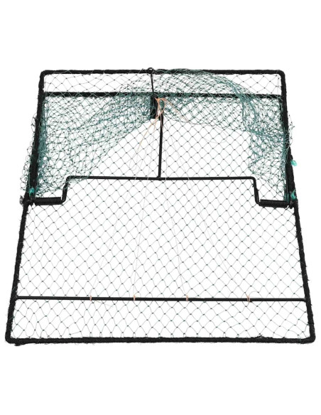 Trappola per Uccelli Verde 50 x 60 x 1,9 cm Polietilene