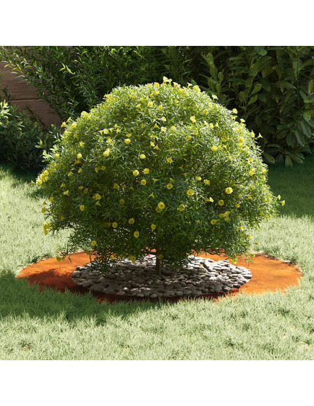 adatto per Anello d'Albero Piatto Marrone Ø50 / 80 cm